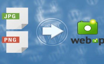 WordPress, Webp 그리고 Browser